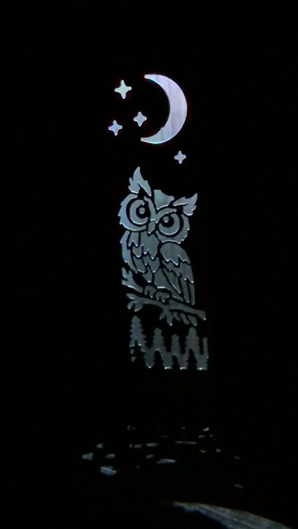 Thumbnail: Light Post Night Owl