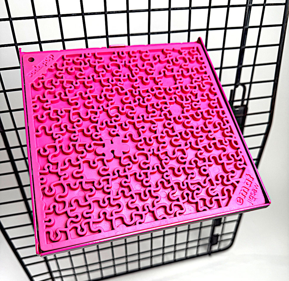 Thumbnail: LickiDock Passion Pink 8" by 8"