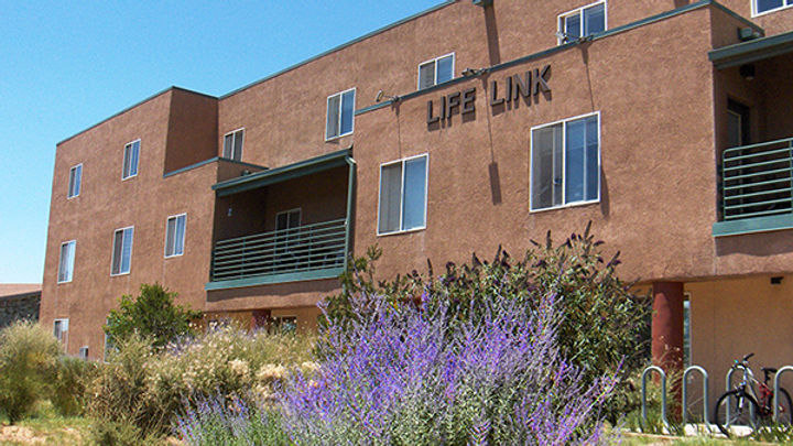 lavendar-building-1.jpeg