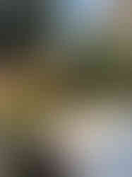 WhatsApp Image 2025-03-09 at 20.29.52_d01ca1a2