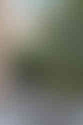 VGR_8960-HDR_resized