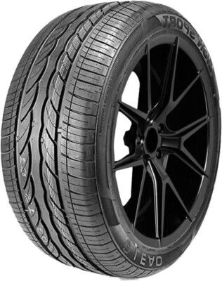 Leao Lion Sport 