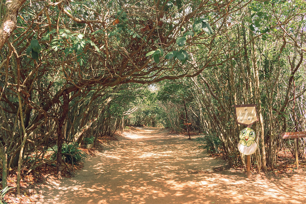 santuario-ecologico-de-pipa-rn