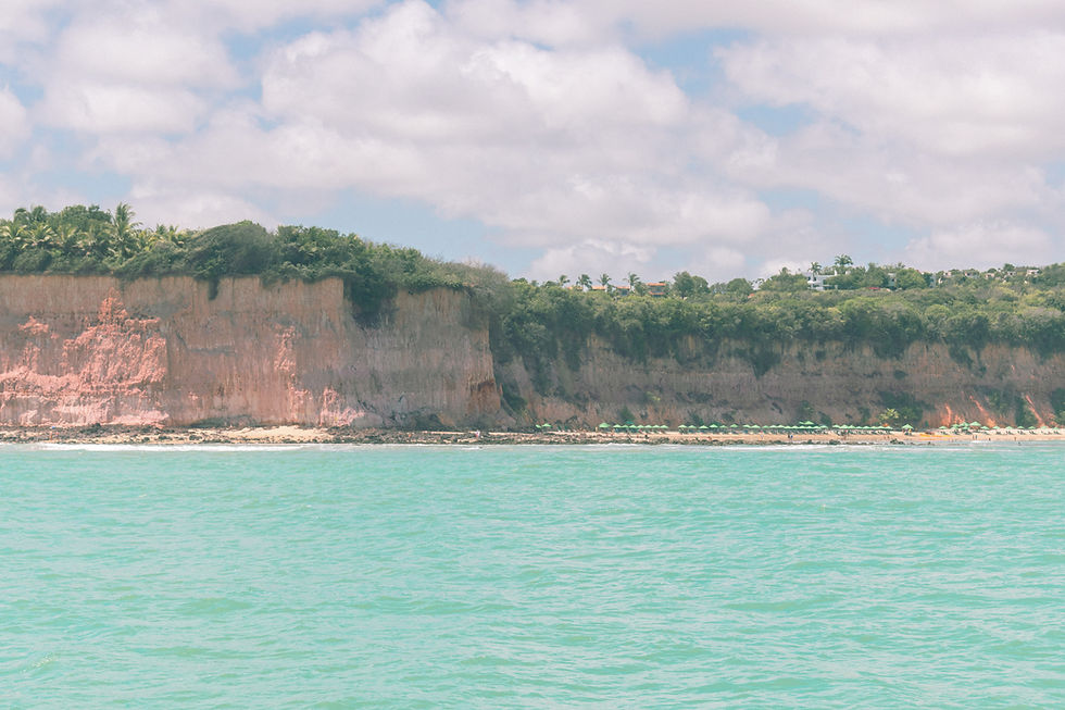 baia-dos-golfinhos