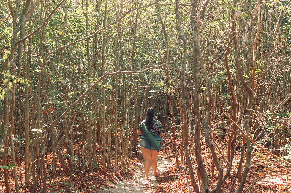 santuario-ecologico-de-pipa