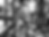 IMG_0388_1.png