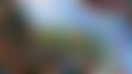 Eure Events für diese Woche - ein Fest jagt das nächste 😜