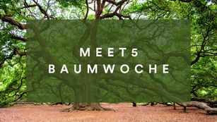 Große Meet5-Baumwoche