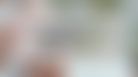 Das Android-Update ist da 📱