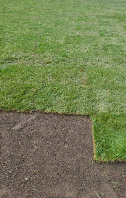 www.hlalandscaping.com HLA Landscaping Inc. - sod installation and other amazing services.
