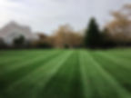 HLA-Lawn-Mowing-08