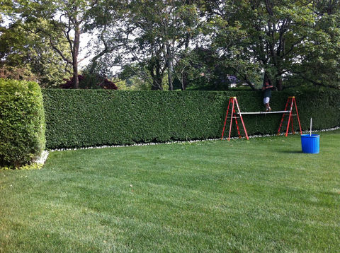www.hlalandscaping.com HLA Landscaping Inc. - pruning & trimming and other amazing services.