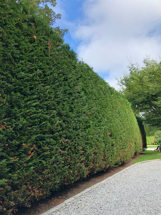 www.hlalandscaping.com HLA Landscaping Inc. - pruning & trimming and other amazing services.