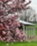 IMG_7037_edited.jpg