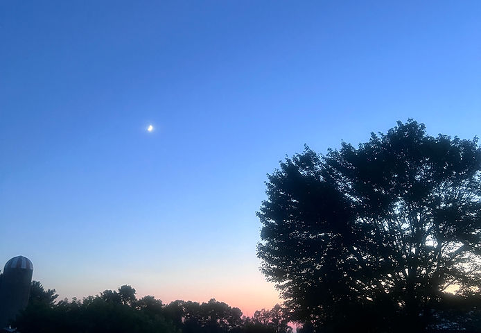 Sunset in The Enchanted Forest