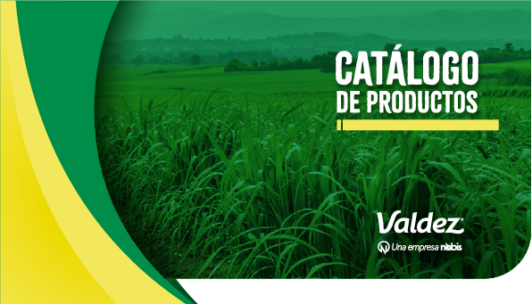 Catálogo 1