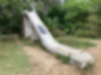 Tinworth_Trail_Section_06_007