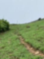 Tinworth_Trail_Section_04_007