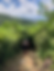 Tinworth_Trail_Section_05_001