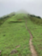 Tinworth_Trail_Section_04_006