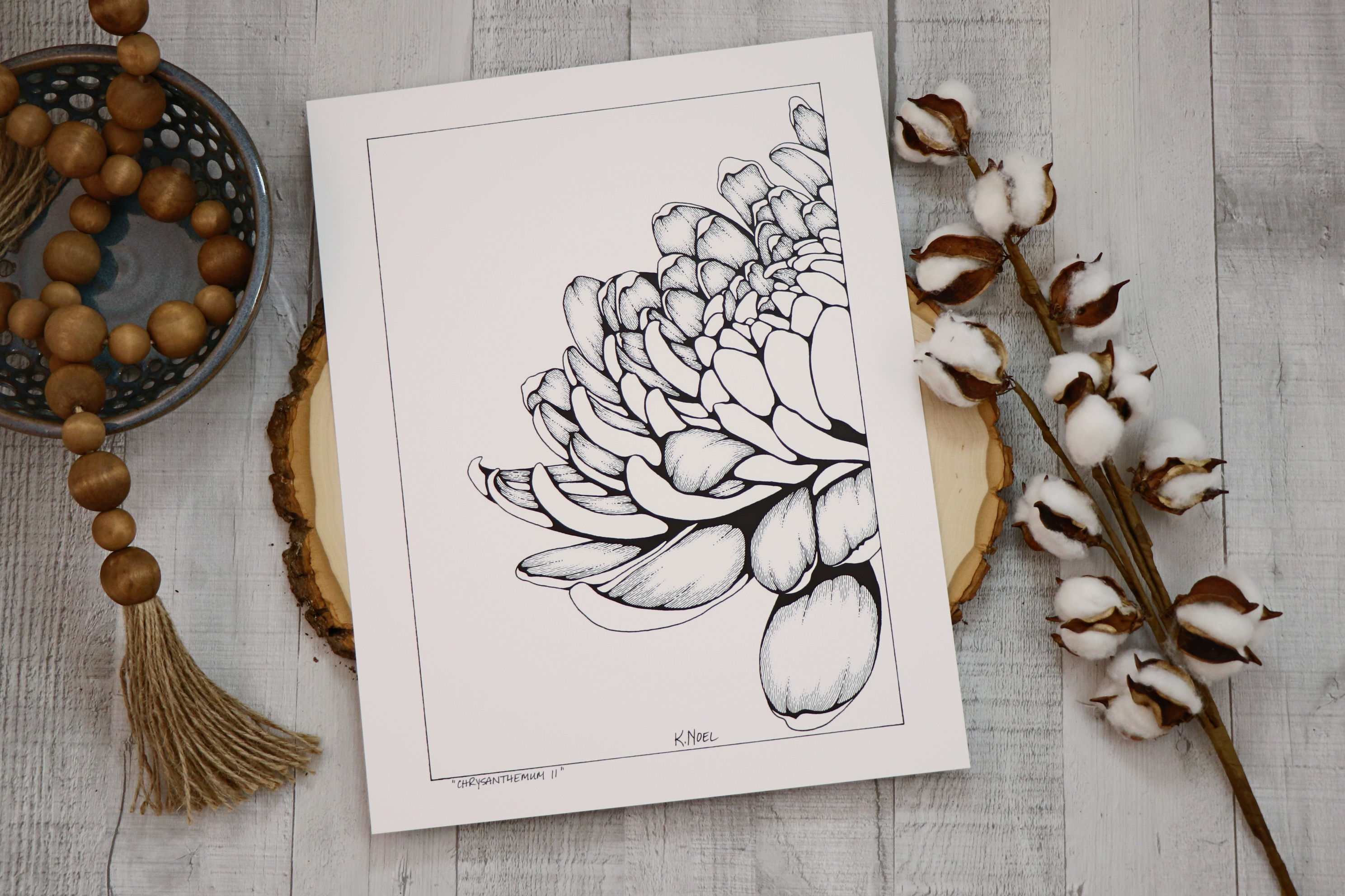 Chrysanthemum II
