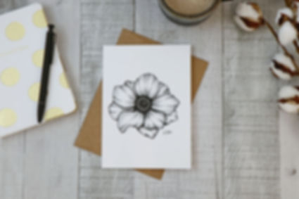 Anemone IV Greeting Card - Box of 5