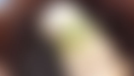 あと何回、会えるかな