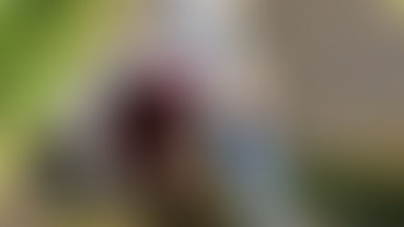 水たまりあそび