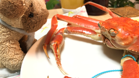 このホームページについて話してみました。