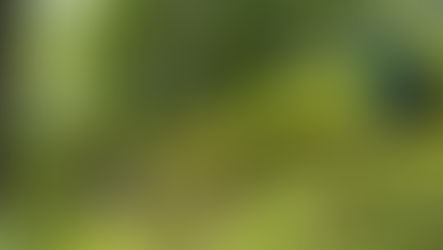 ルールのない、さんさんぽ