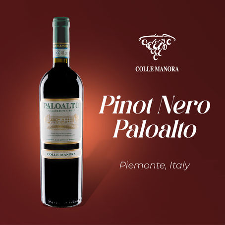 Elevating Your Wine Experience with Palo Alto Piemonte Pinot Nero