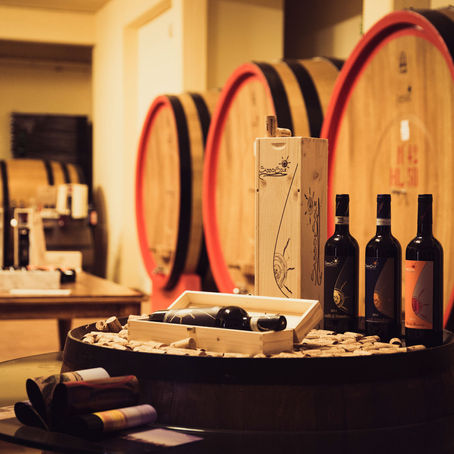 Discover Sasso Di Sole at Wine Affairs: Tradition Meets Innovation in Montalcino