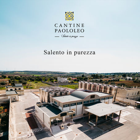 Balancing Tradition with Innovation: The Evolution of Paololeo Cantine