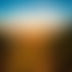 Exploring Abruzzo: A Wine Region Rich in Tradition and Innovation