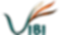 VIBI (5)_edited.png