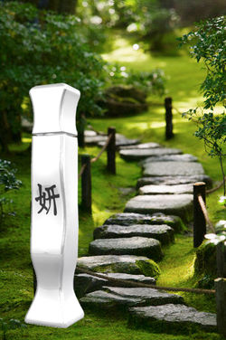 Perfume Bottle