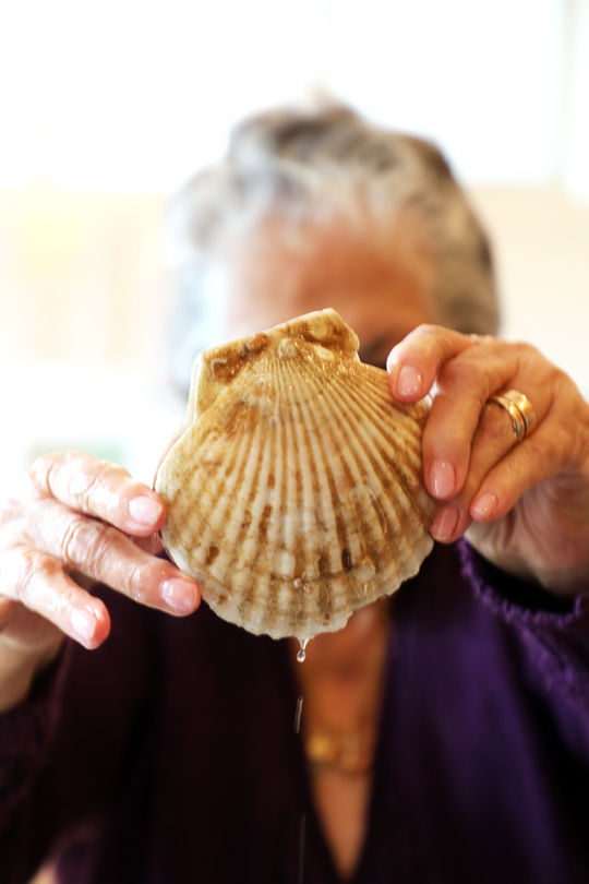 family
food traditions
heritage cooking