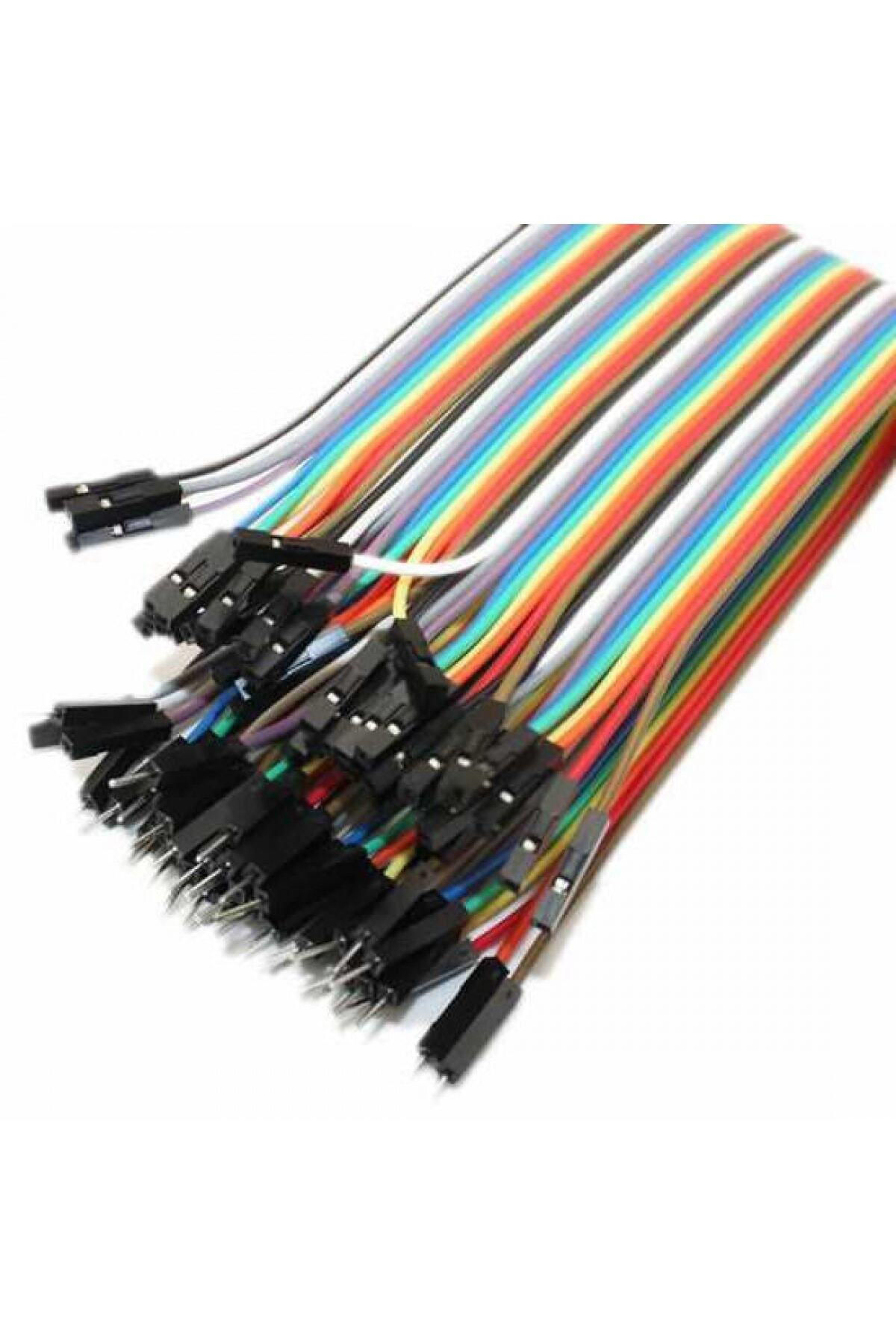 40 Pin Disi-disi Jumper Kablo 200mm