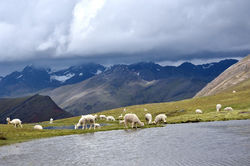 Rainbow mountain Peru