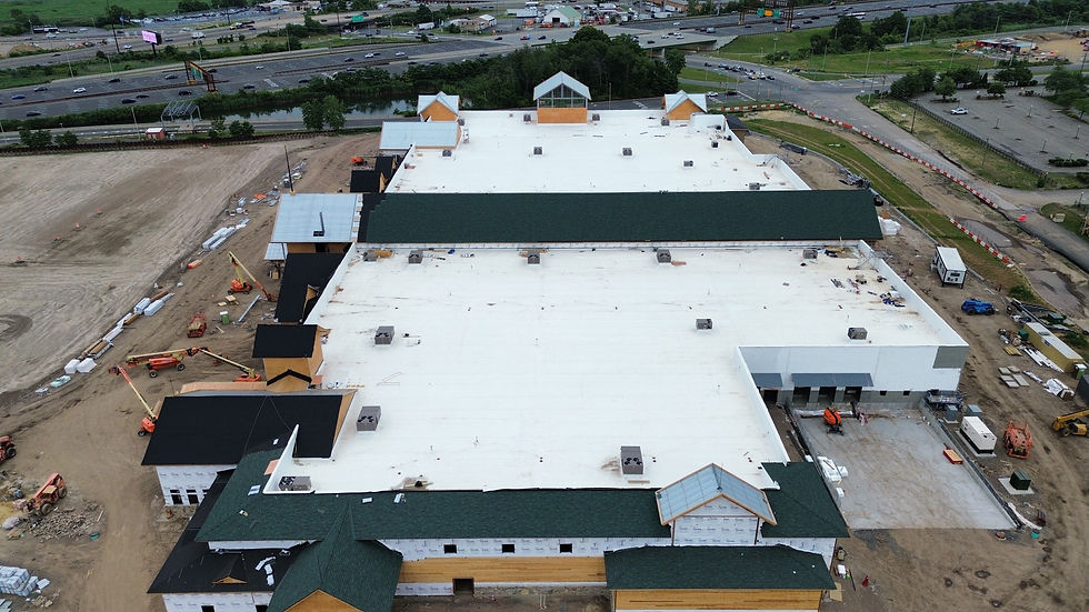 dji_fly_20250627_152210_58_1751065711945_photo_optimized.JPG