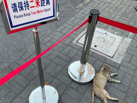 Day 67 of Shanghai Lockdown