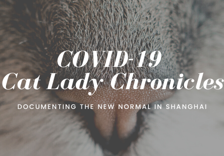 #COVIDCatLady, One Year On