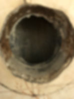 Etterbilde borettslag