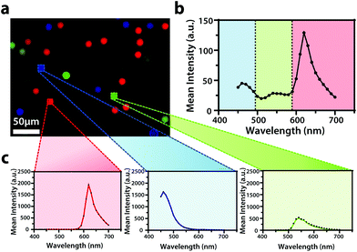 Hyperspectral Imaging