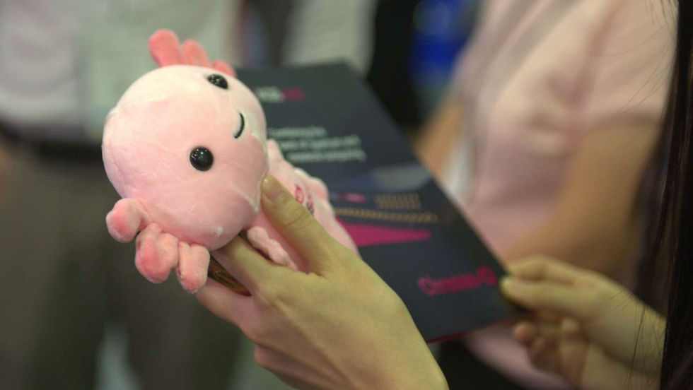 Why AQSolotl? The story behind our name.