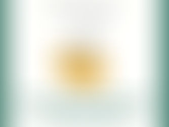 "High-Level" - Diplomatie in New York