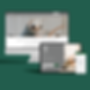 Creative website design