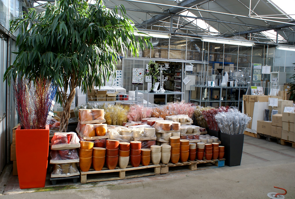 Jane Adams Ltd