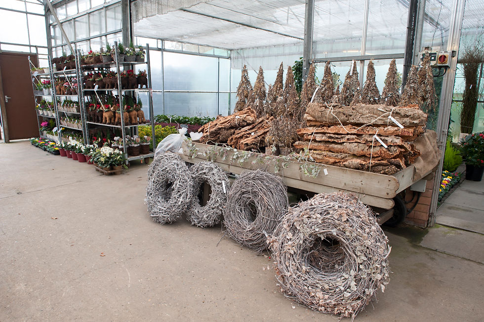 Jane Adams Ltd