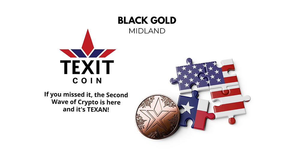 TEXIT Coin: From Curiosity to Possibility: Neighbors, Networks, and New Paths - Team Black Gold